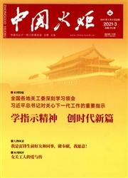 《中国火炬》