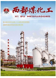 《西部煤化工》