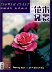 《花木盆景：上半月》