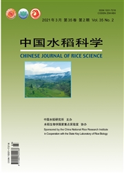 《中国水稻科学》
