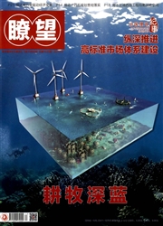 《瞭望》
