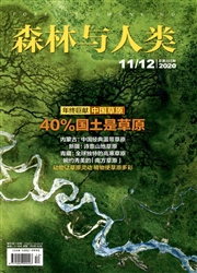 《森林与人类》