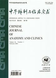 《中华解剖与临床杂志》
