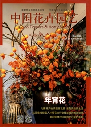 《中国花卉园艺》