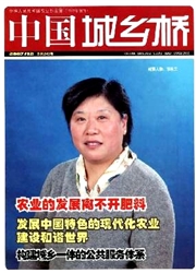《中国.城乡桥》