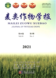 《麦类作物学报》