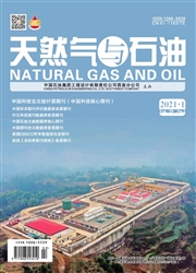 《天然气与石油》