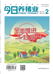 《今日养猪业》