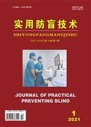 《实用防盲技术》