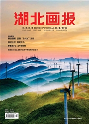 《湖北画报》