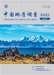 《中国地质调查》
