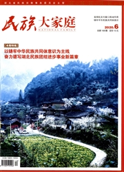《民族大家庭》