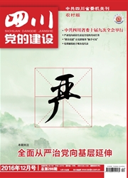 《四川党的建设：农村版》