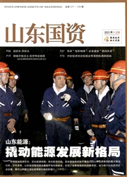 《山东国资》