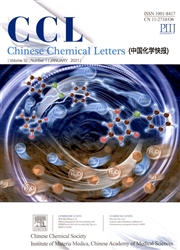 《中国化学快报：英文版》