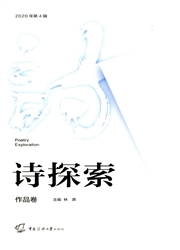 《诗探索》