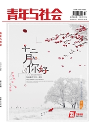 《青年与社会：中》
