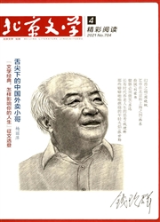 《北京文学：精彩阅读》