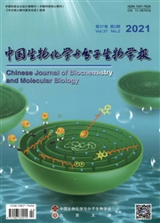 《中国生物化学与分子生物学报》