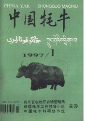 《中国牦牛》