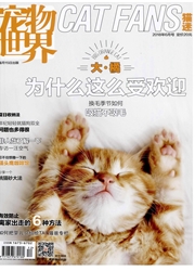 《宠物世界：猫迷》