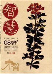 《才智：智慧版》