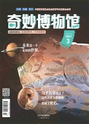 《奇妙博物馆》