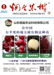 《烟台果树》