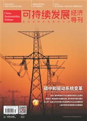 《可持续发展经济导刊》