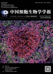 《中国细胞生物学学报》