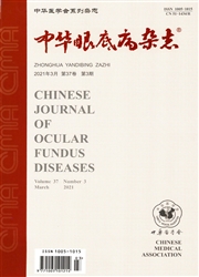 《中华眼底病杂志》