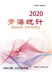《青海统计》