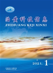 《治黄科技信息》