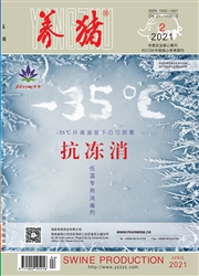 《养猪》