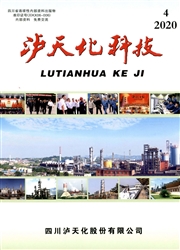 《泸天化科技》