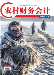 《农村财务会计》