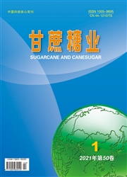 《甘蔗糖业》