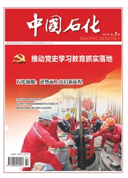 《中国石化》