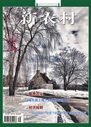 《新农村（黑龙江）》