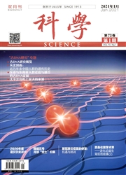 《科学》