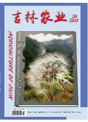 《吉林农业：下半月》