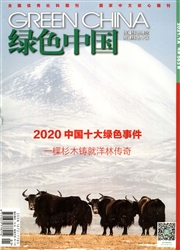 《绿色中国》
