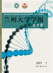 《兰州大学学报：医学版》