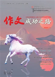 《作文成功之路：高考冲刺》