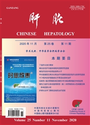 《肝脏》