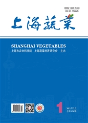 《上海蔬菜》