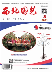 《西北园艺：综合》