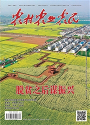 《农村农业农民》