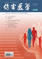 《伤害医学：电子版》