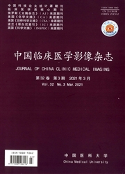 《中国临床医学影像杂志》
